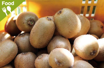 16. Kiwifruits harvesting
