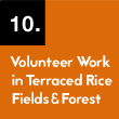 10. Volunteer Work in Terraced Rice Fields & Forest