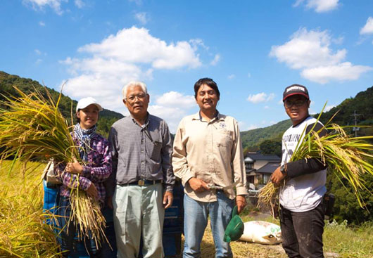 10. Volunteer Work in Terraced Rice Fields & Forest
