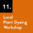 11. Local Plant Dyeing Workshop