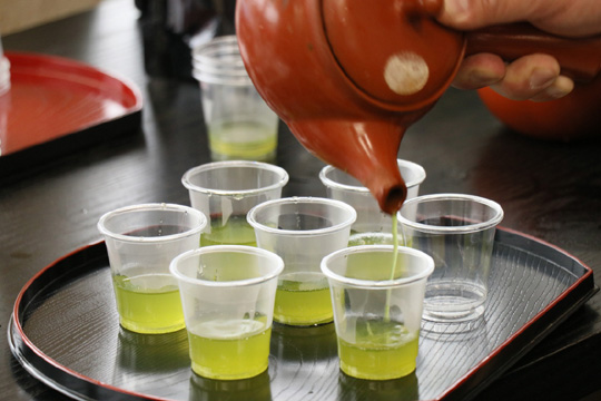 15. Learn About Oku-Yame Tea Through the Senses