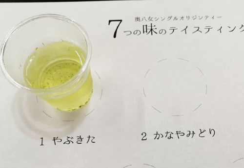 15. Learn About Oku-Yame Tea Through the Senses